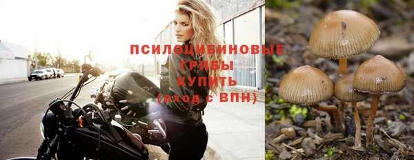 гидропоника Беломорск