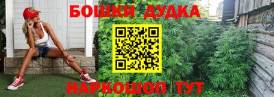 ПСИЛОЦИБИНОВЫЕ ГРИБЫ Бийск