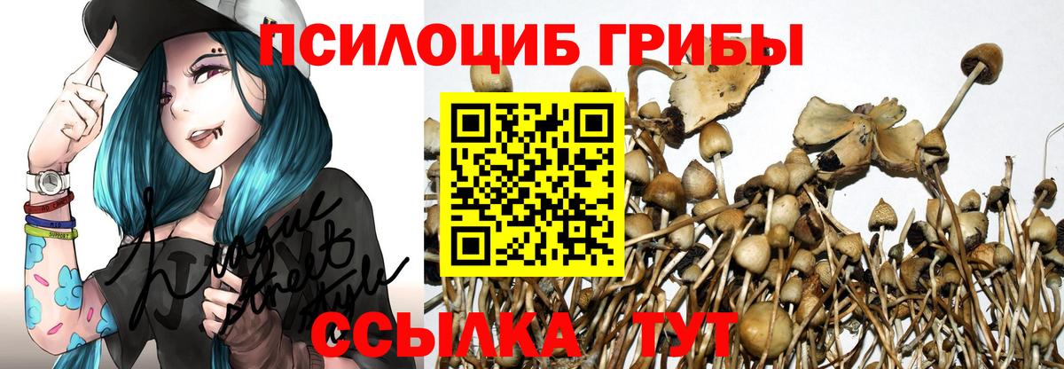 Благодарный  Галлюциногенные грибы мухоморы  Вход с VPN 
