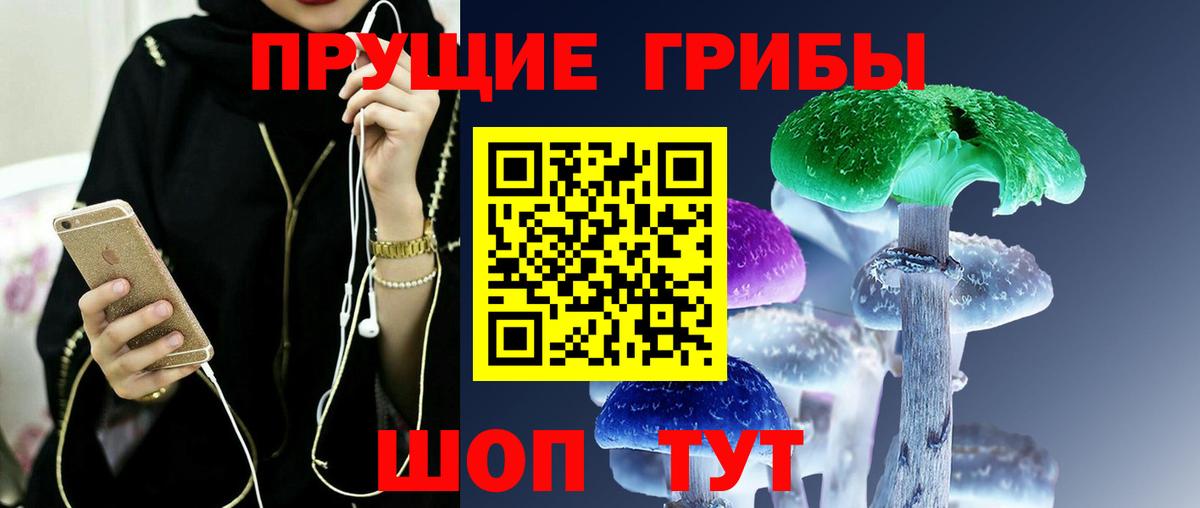 Галлюциногенные грибы Cubensis Благодарный