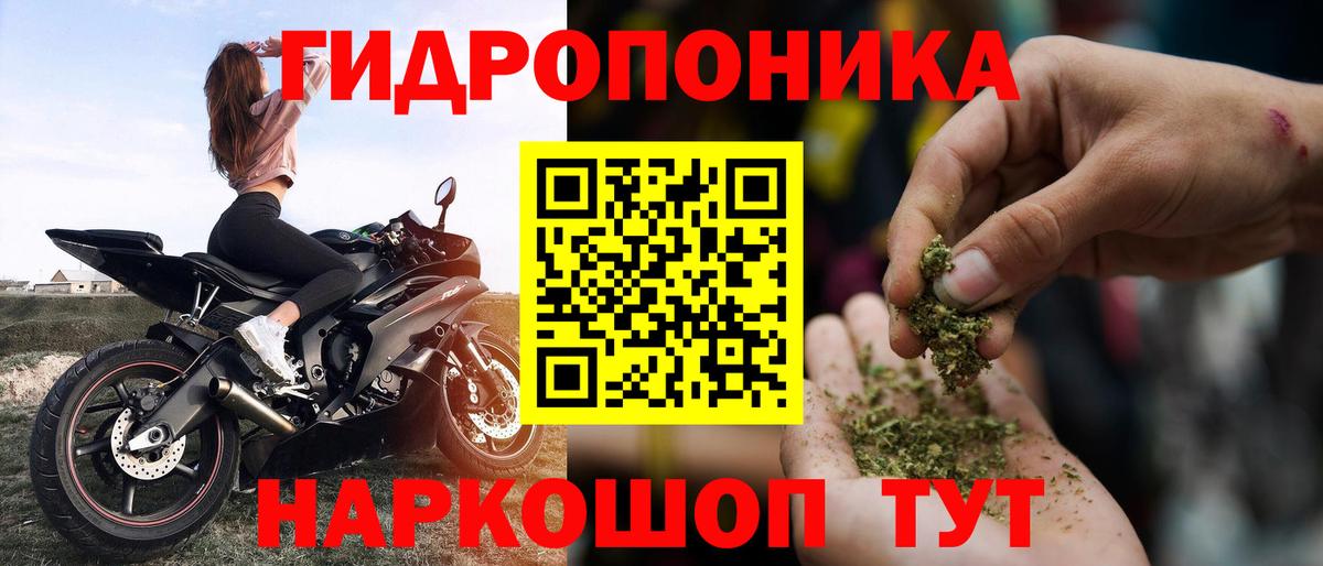 Конопля гибрид Благодарный